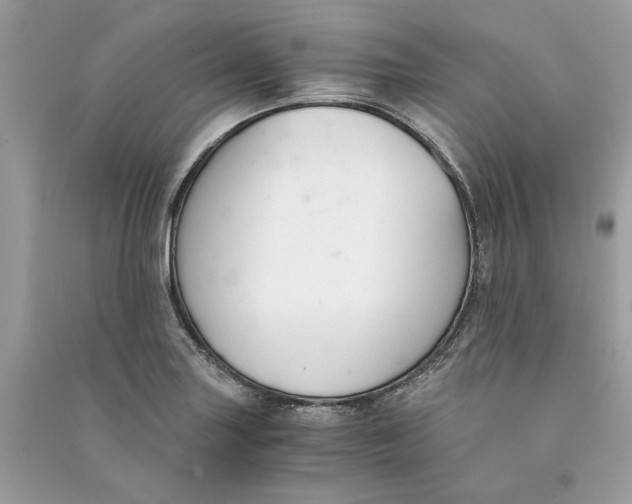 X0000090741227200708101655