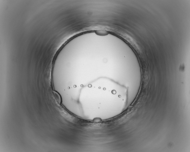 X0000090741228200708101655