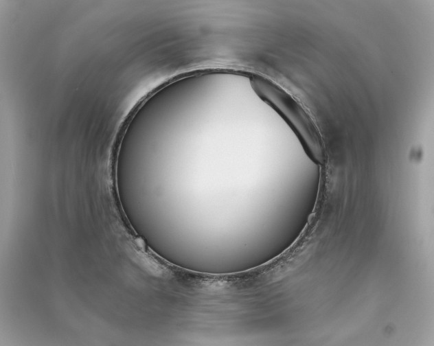 X0000090741230200708101655