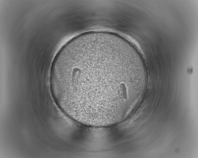 X0000090741231200708101655