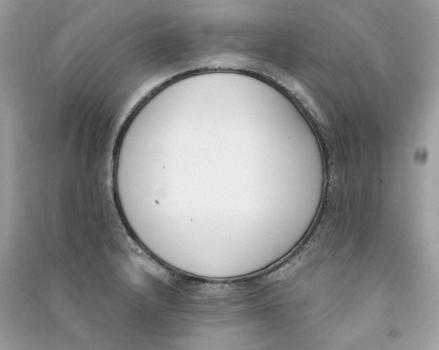 X0000090741232200708101655