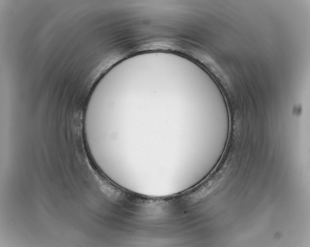 X0000090741233200708101655