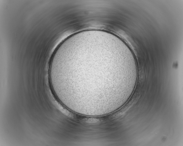 X0000090741235200708101655