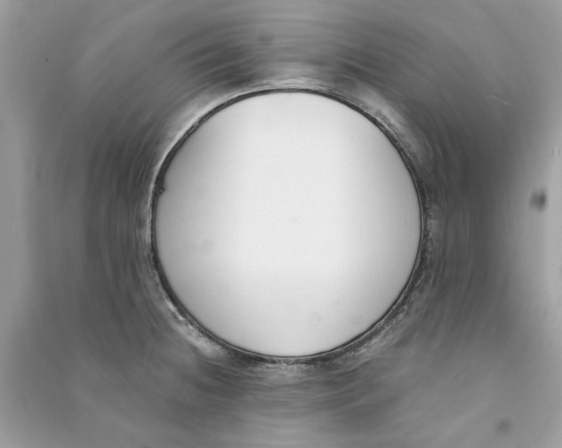 X0000090741236200708101655