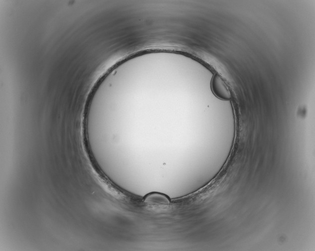 X0000090741237200708101655