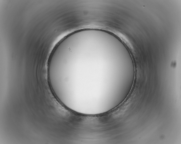 X0000090741238200708101655