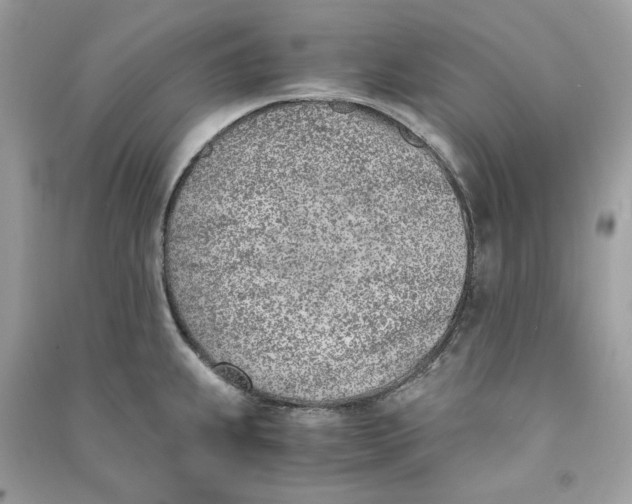 X0000090741239200708101655