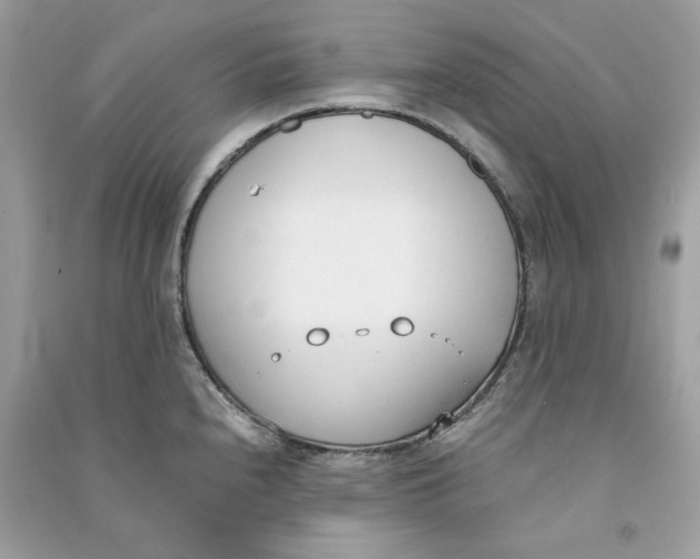 X0000090741240200708101655