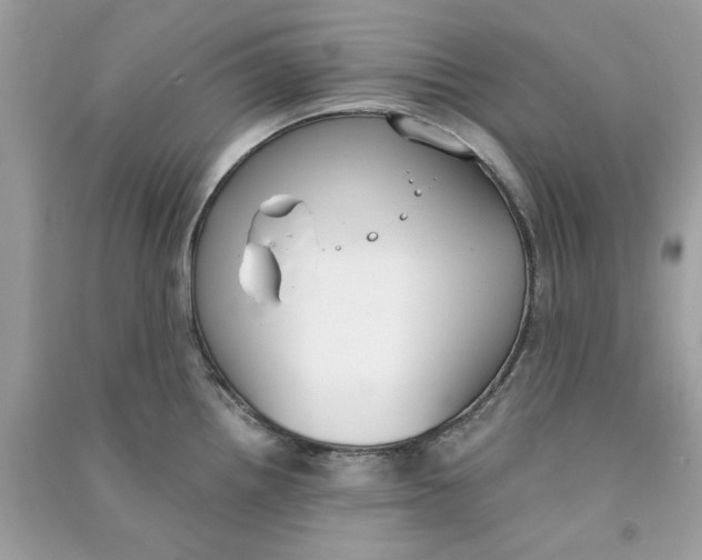 X0000090741242200708101655