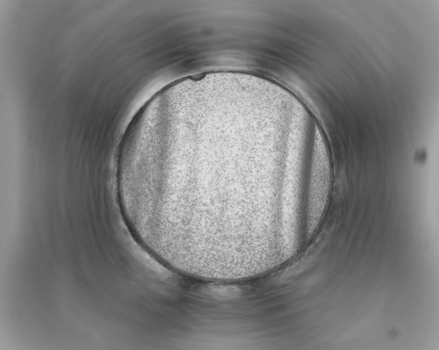 X0000090741243200708101655