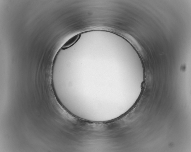 X0000090741244200708101655