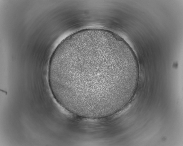 X0000090741245200708101655