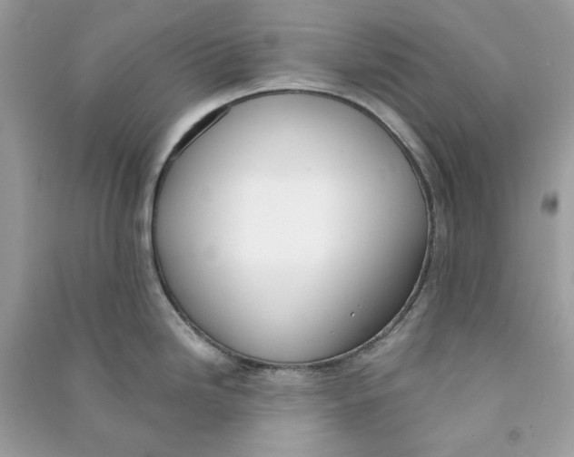 X0000090741246200708101656