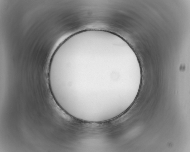 X0000090741248200708101656