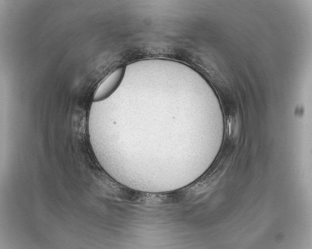 X0000090741251200708101655