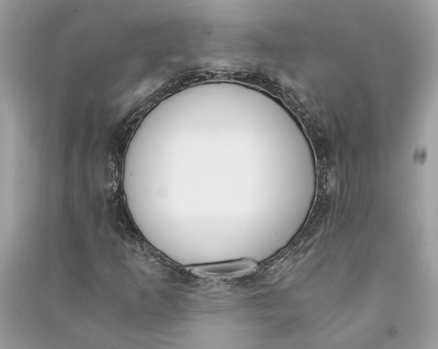 X0000090741253200708101655