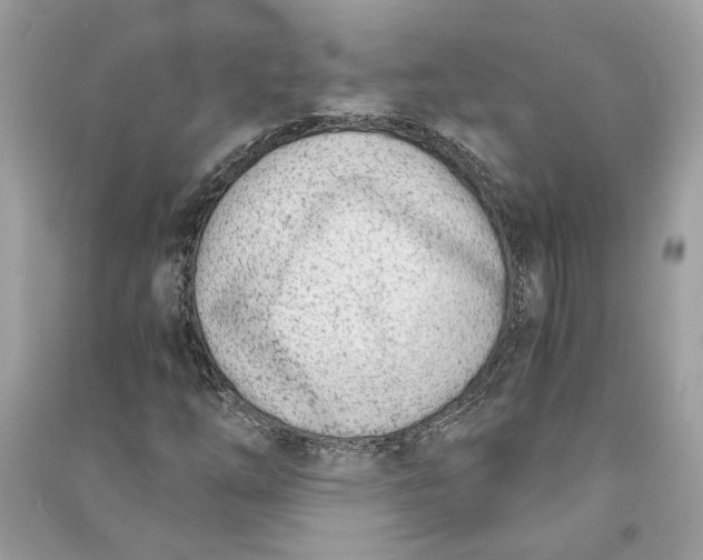 X0000090741254200708101655