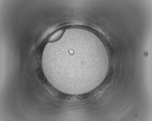 X0000090741255200708101655