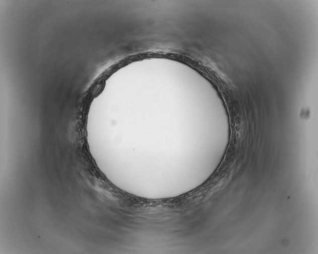 X0000090741256200708101655