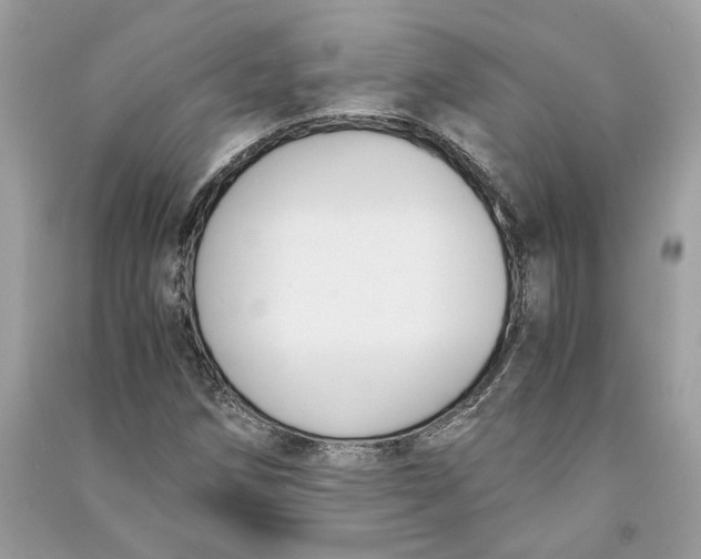 X0000090741258200708101655