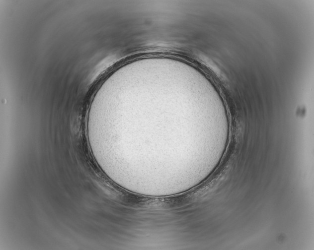 X0000090741259200708101655