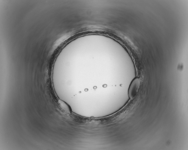 X0000090741261200708101655