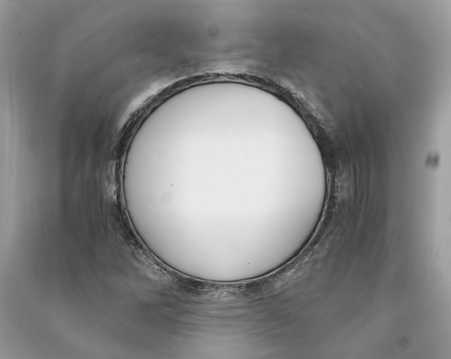 X0000090741262200708101655