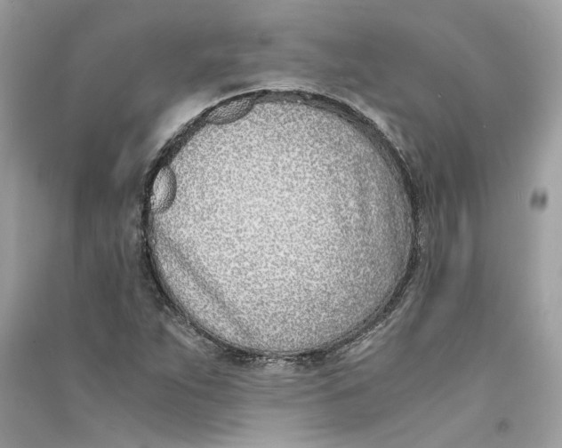 X0000090741263200708101655