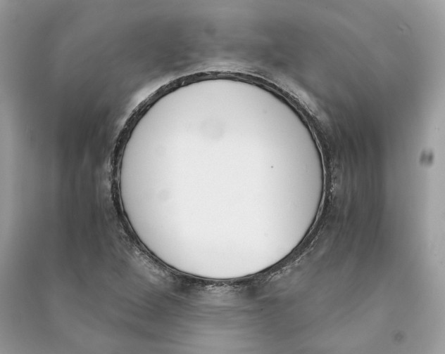 X0000090741264200708101654