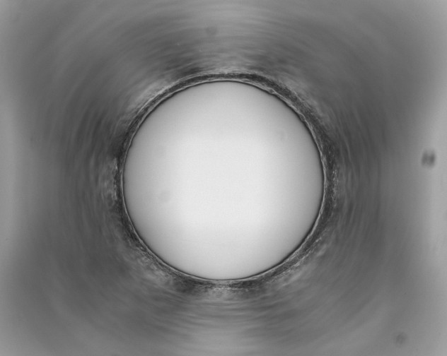 X0000090741265200708101654