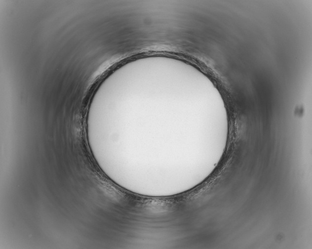 X0000090741266200708101654