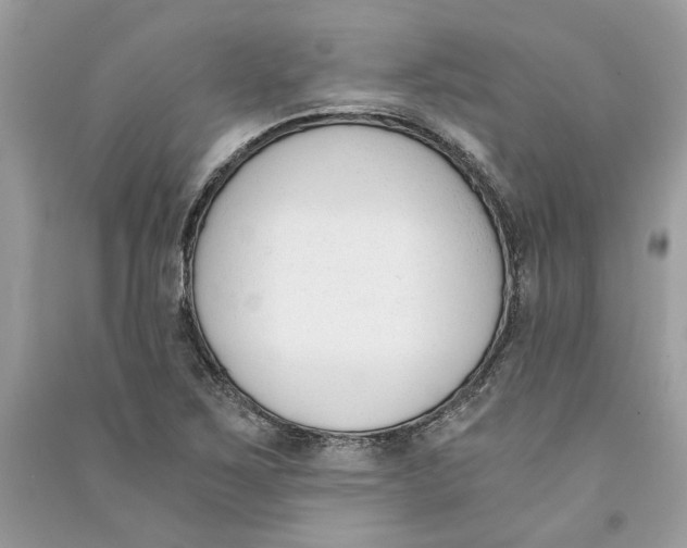 X0000090741267200708101654