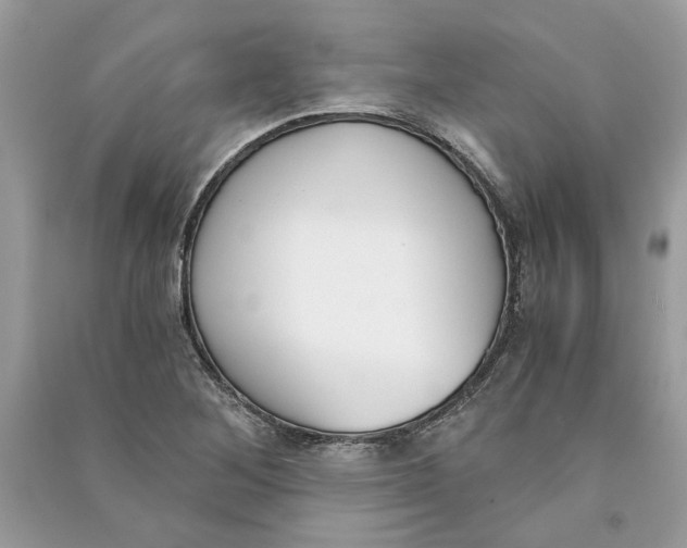 X0000090741268200708101654