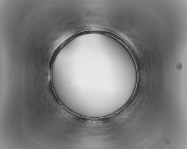 X0000090741269200708101654