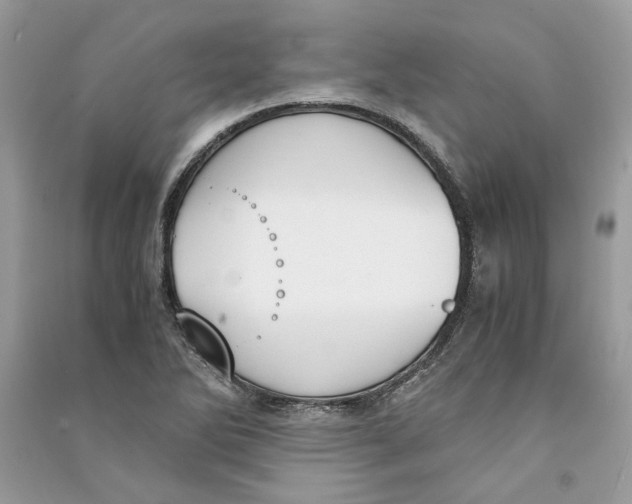 X0000090741270200708101654