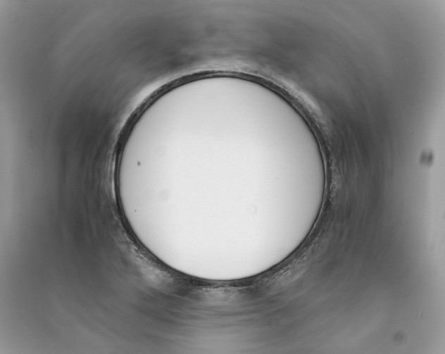 X0000090741272200708101654