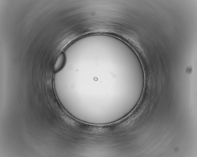 X0000090741273200708101654