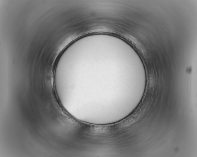 X0000090741274200708101654