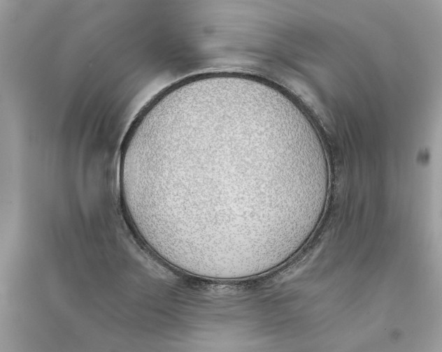 X0000090741275200708101654