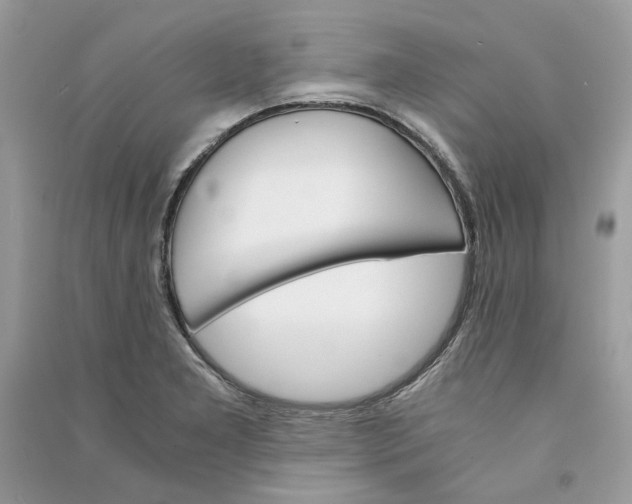 X0000090741277200708101654