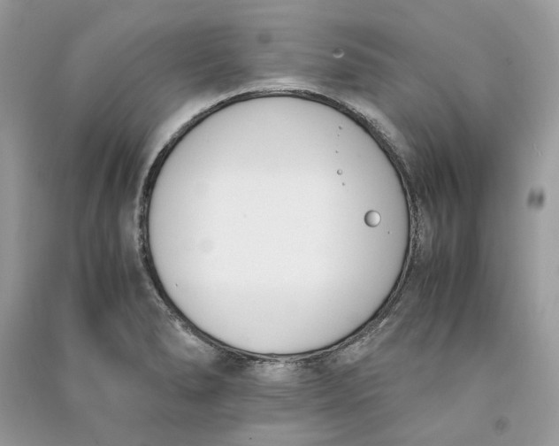 X0000090741278200708101654