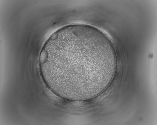 X0000090741279200708101654