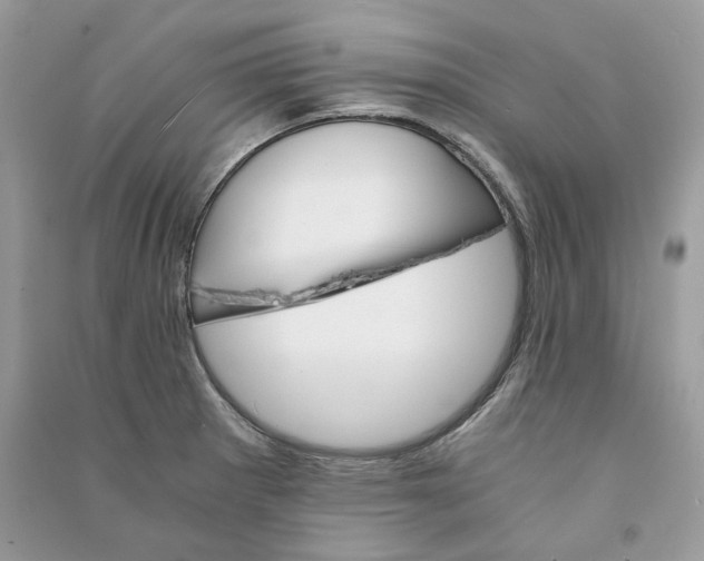 X0000090741281200708101654