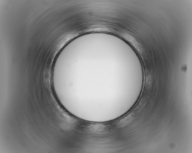 X0000090741282200708101654