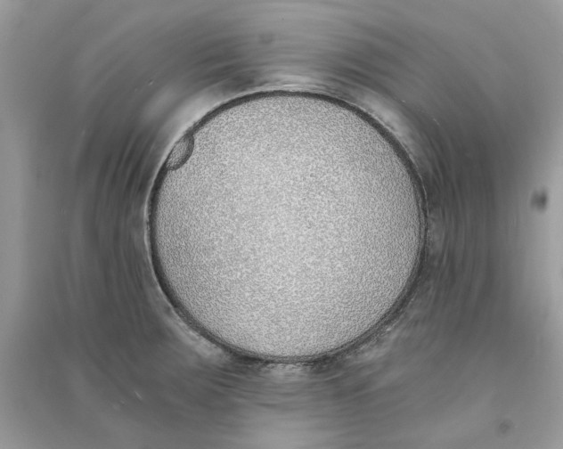 X0000090741283200708101654