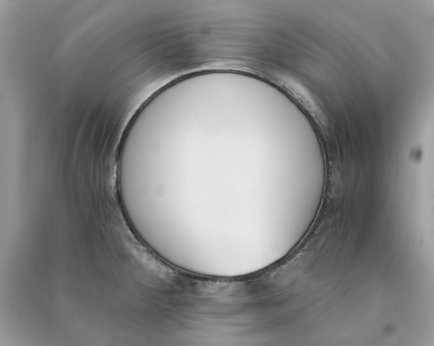 X0000090741284200708101654