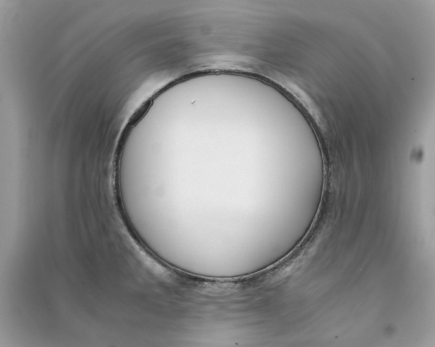 X0000090741285200708101654