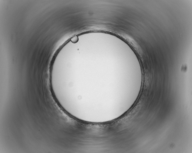 X0000090741286200708101654