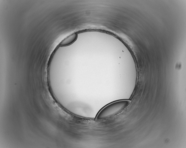 X0000090741287200708101654