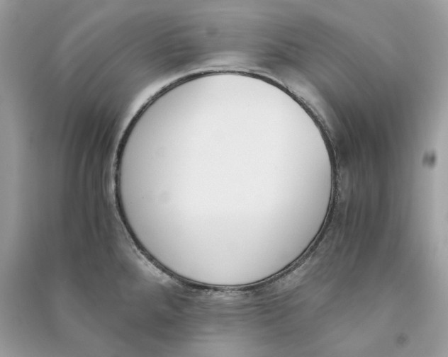 X0000090741288200708101654